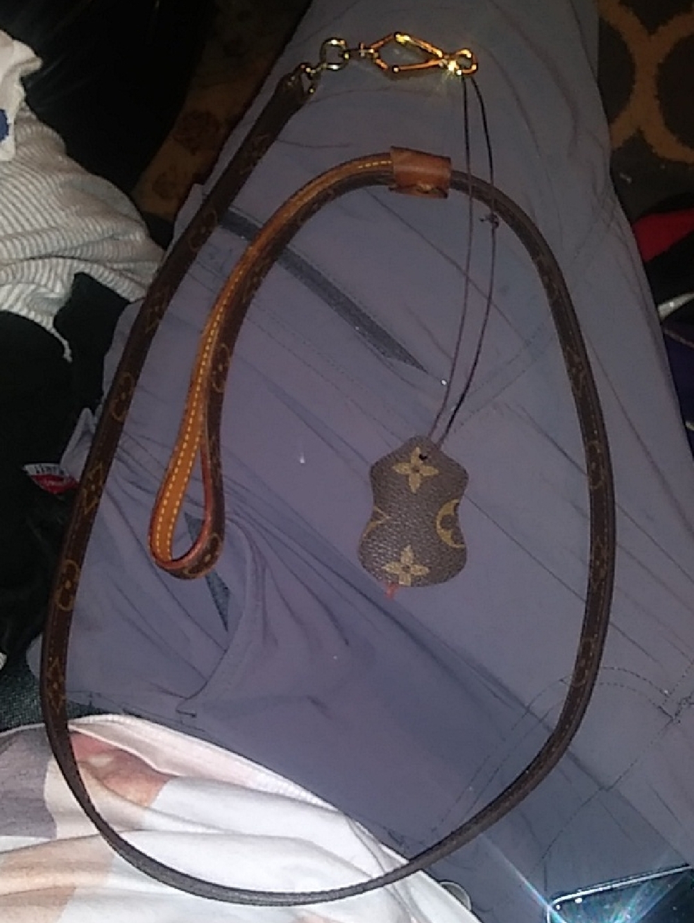 Louis Vuitton Leash 100% Authentic *RARE*